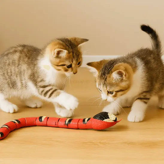 Jouet pour Chat - Serpent Interactif deux chatons jouent avec le serpent sur le sol marron