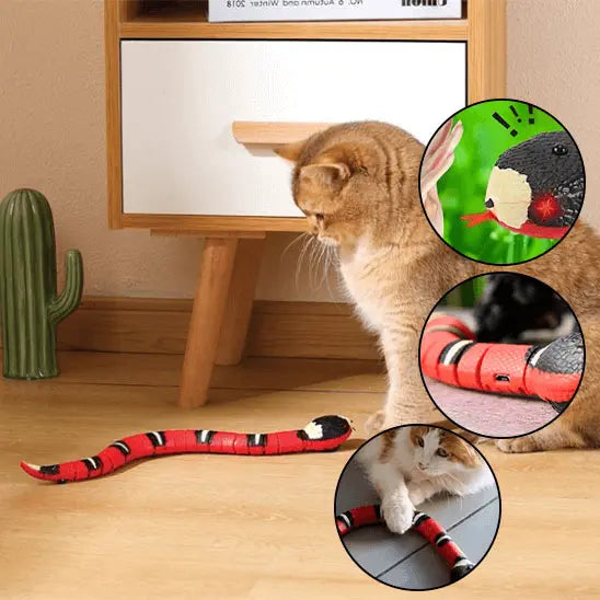 Jouet pour Chat - Serpent Interactif un chat roux devant meuble en bois marron et blanc, faux cactus à gauche, joue avec le serpent sur le sol beige; trois petites fenêtres avec autres images du serpent, 