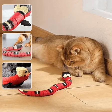 Jouet pour Chat - Serpent Interactif un chat roux au pied d'une fenêtre blanche, joue avec le serpent sur le sol en carrelage; trois petites fenêtres avec autres images du serpent.