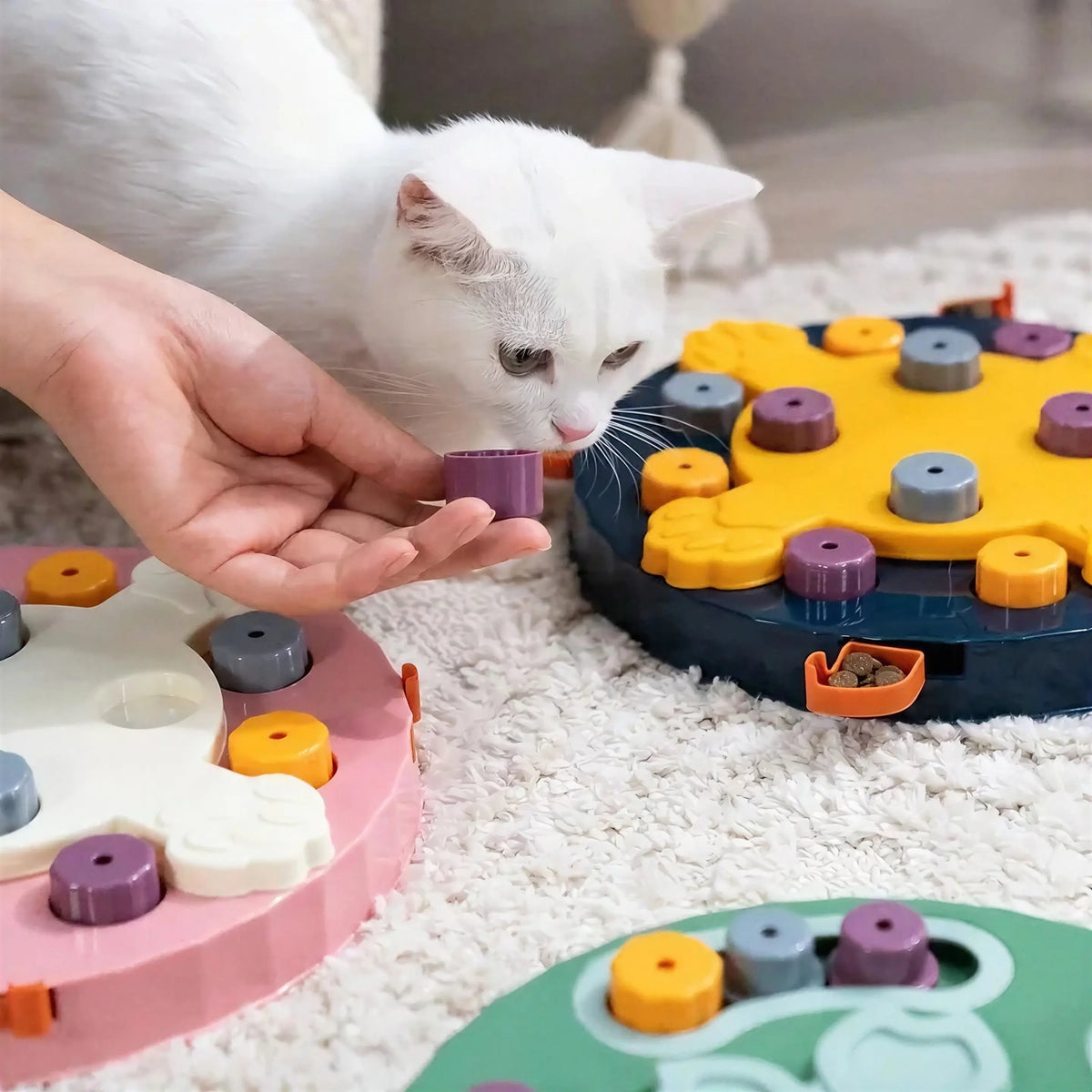 Jouet pour Chat en Forme de Fleur Pour toi Mon chat