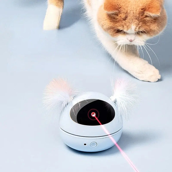 Jouet rotatif électrique lumineux à laser avec plumes pour chat Pour toi Mon chat