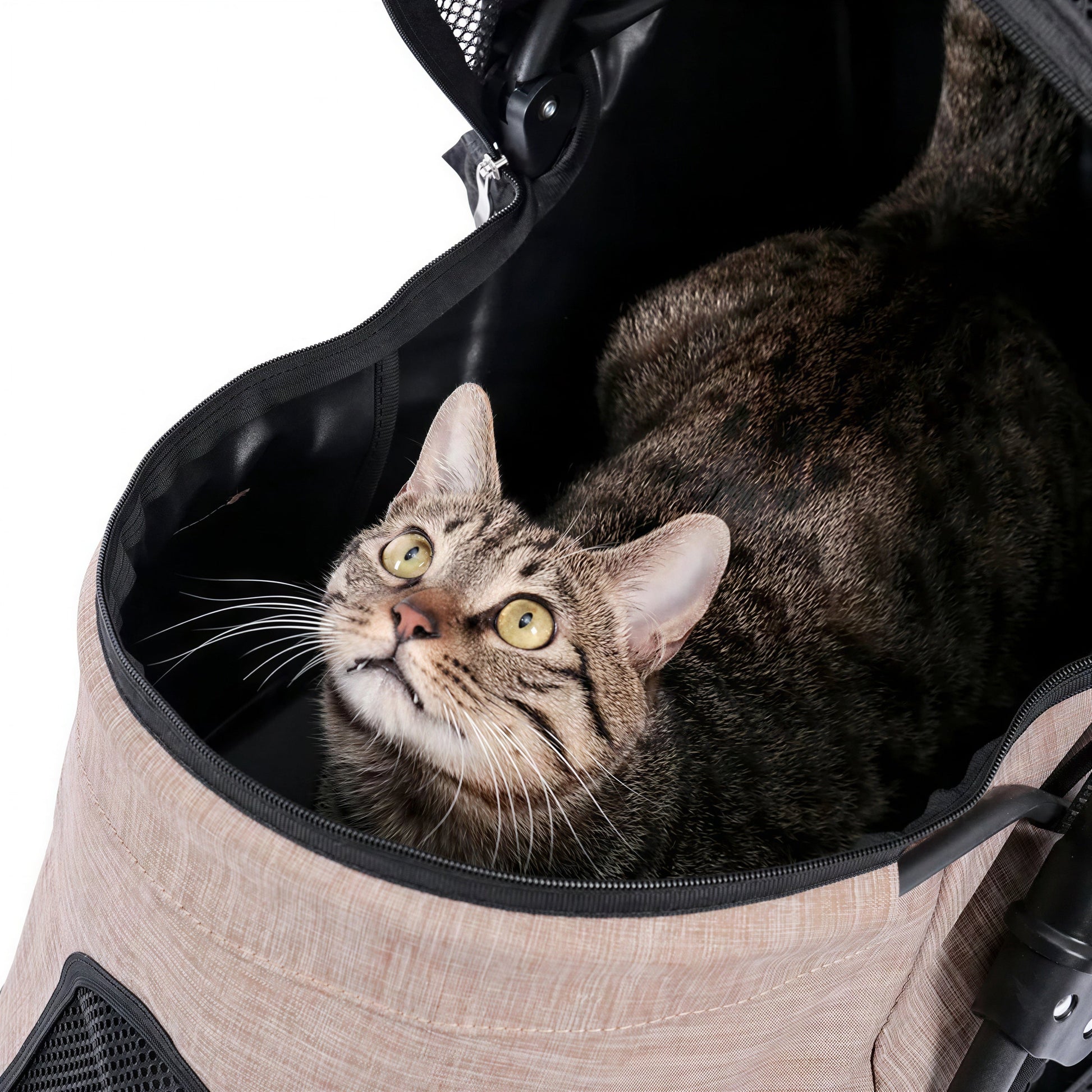 Poussette pliable avec panier de rangement pour chat Pour toi Mon chat