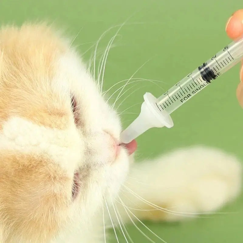Kit Biberon Chaton en Forme de Seringue pour l'Allaitement avec un chaton en train de boire avec la seringue sur fond vert