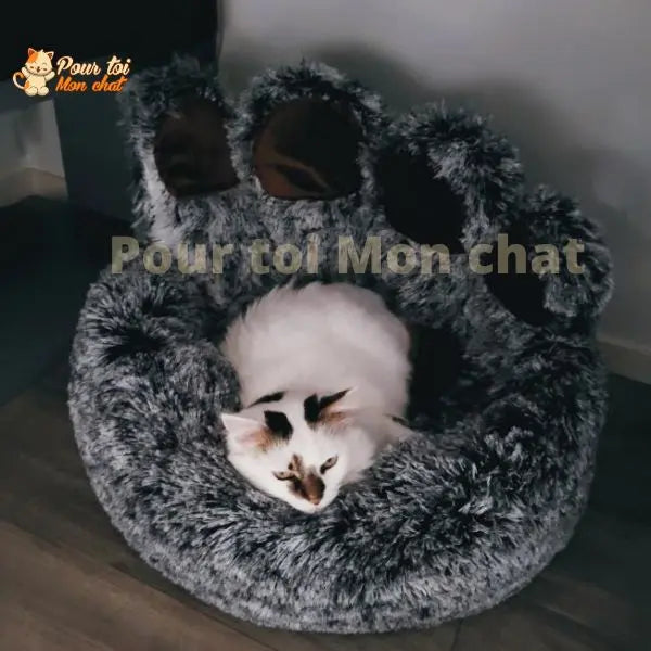 LIT À GRIFFES D’OURS POUR CHAT - TEDDYCAT™ Pour toi Mon chat