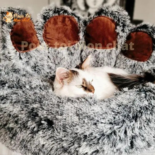 LIT À GRIFFES D’OURS POUR CHAT - TEDDYCAT™ Pour toi Mon chat
