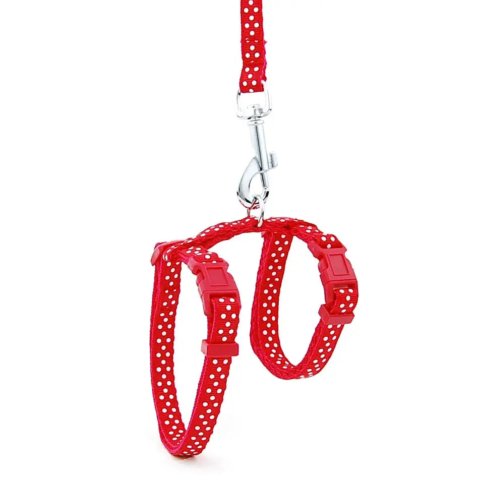 Laisse pour Chaton Réglable avec Point en Nylon Pour toi Mon chat