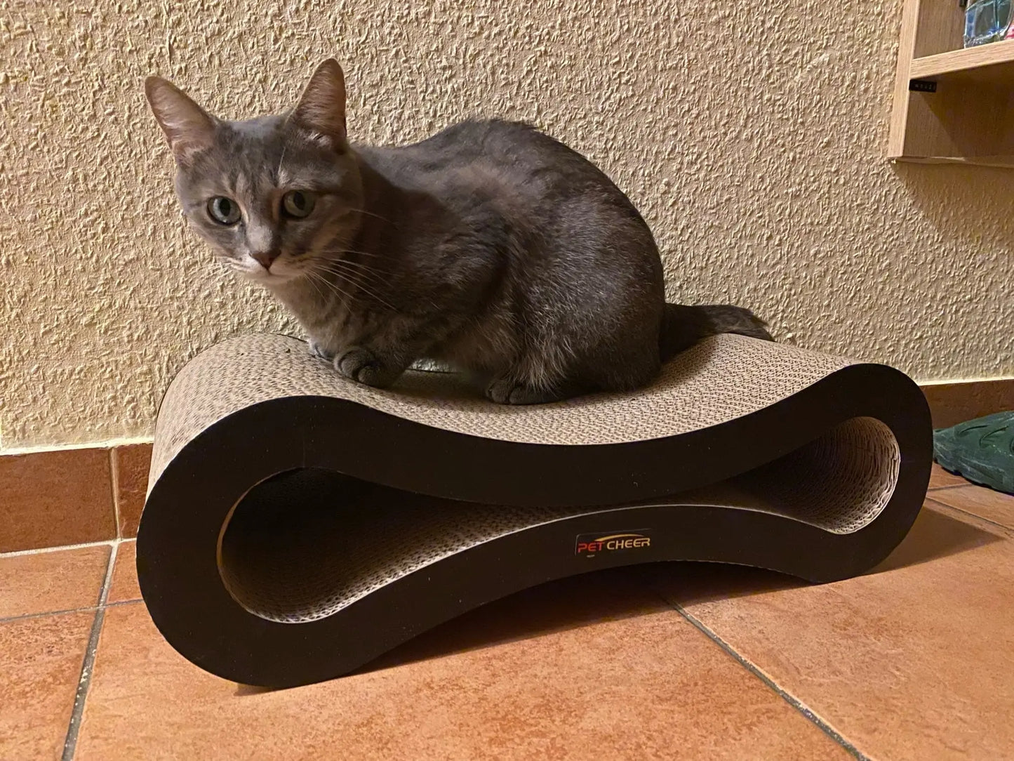 Lit à gratter pour chat en carton ondulé Pour toi Mon chat