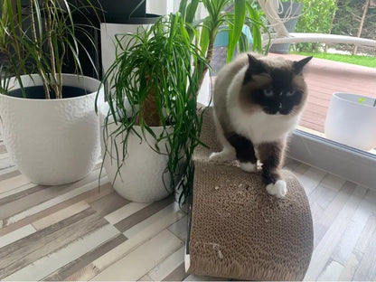 Lit à gratter pour chat en carton ondulé Pour toi Mon chat