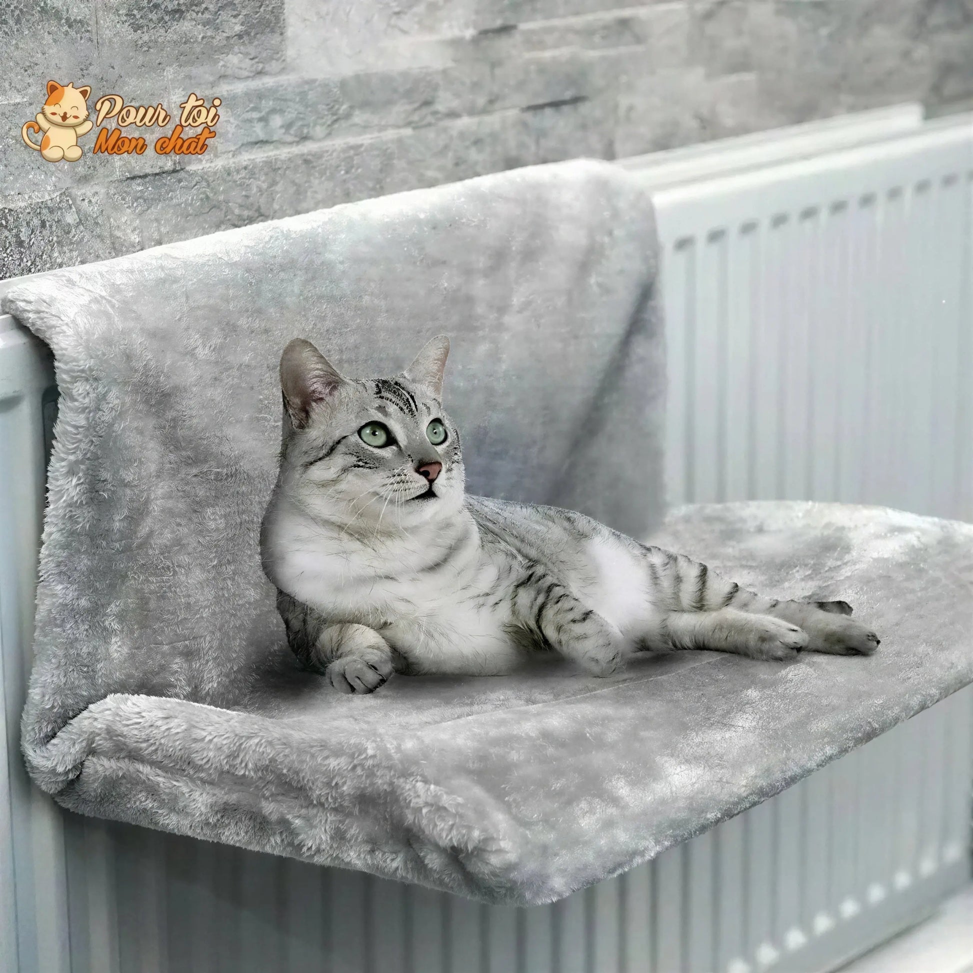 Lit doux fenêtre, lit, radiateur - Pour chat - Poz’Hamac™ Pour toi Mon chat