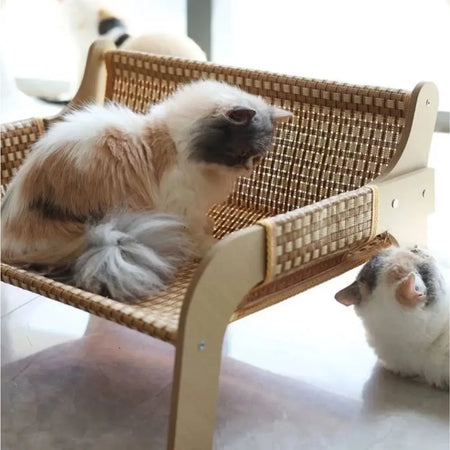 Lit pour Chat au Design de Chaise Pour toi Mon chat avec un chat dessus