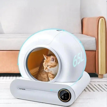 Litière Automatique et Connectée avec Application avec un chat à l'intérieur et un canapé derrière