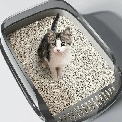 Litière Chaton avec Rebords Anti Éclaboussures en Plastique avec un chaton blanc et gris à l'intérieur sur fond gris