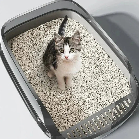 Litière Chaton avec Rebords Anti Éclaboussures en Plastique avec un chaton blanc et gris à l'intérieur sur fond gris