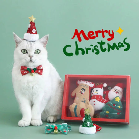 Lot de 5 Jouets pour Chat de Noel Pour toi Mon chat avec un chat à côté