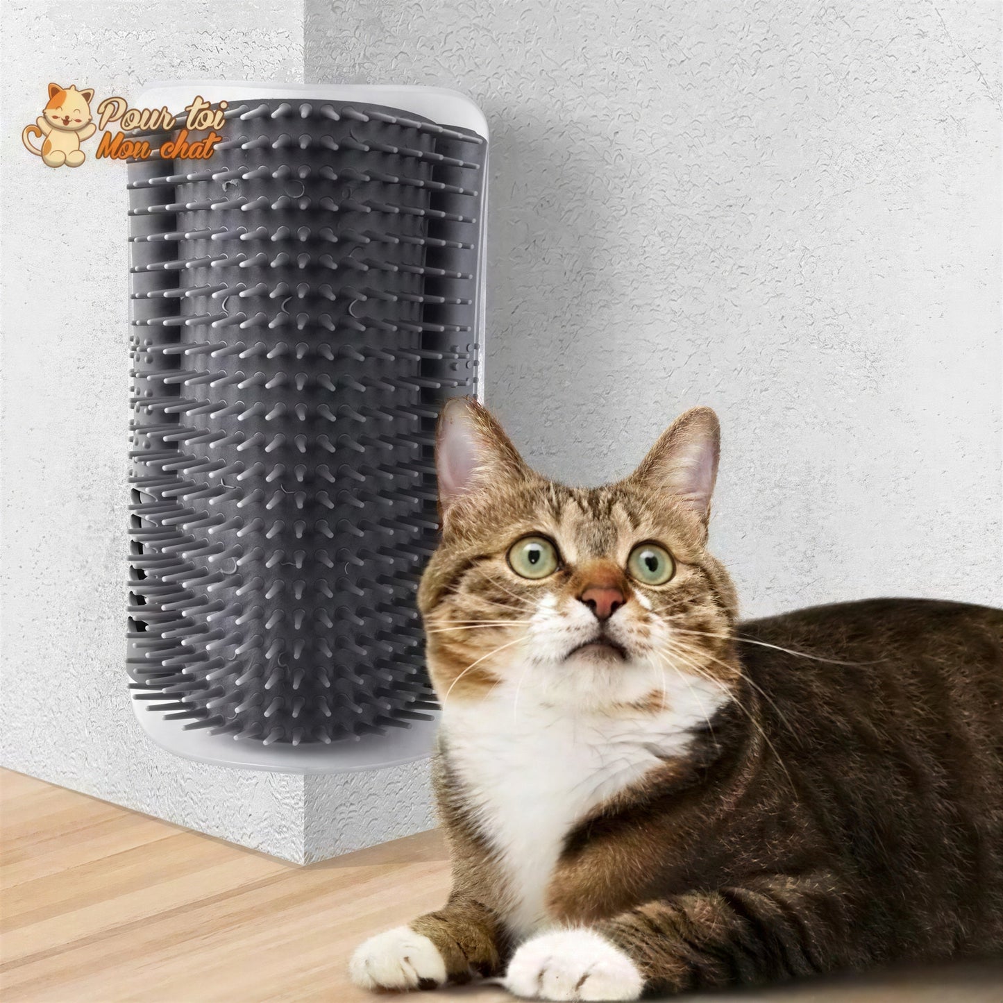 Brosse d’angle, auto-massage pour chats Pour toi Mon chat