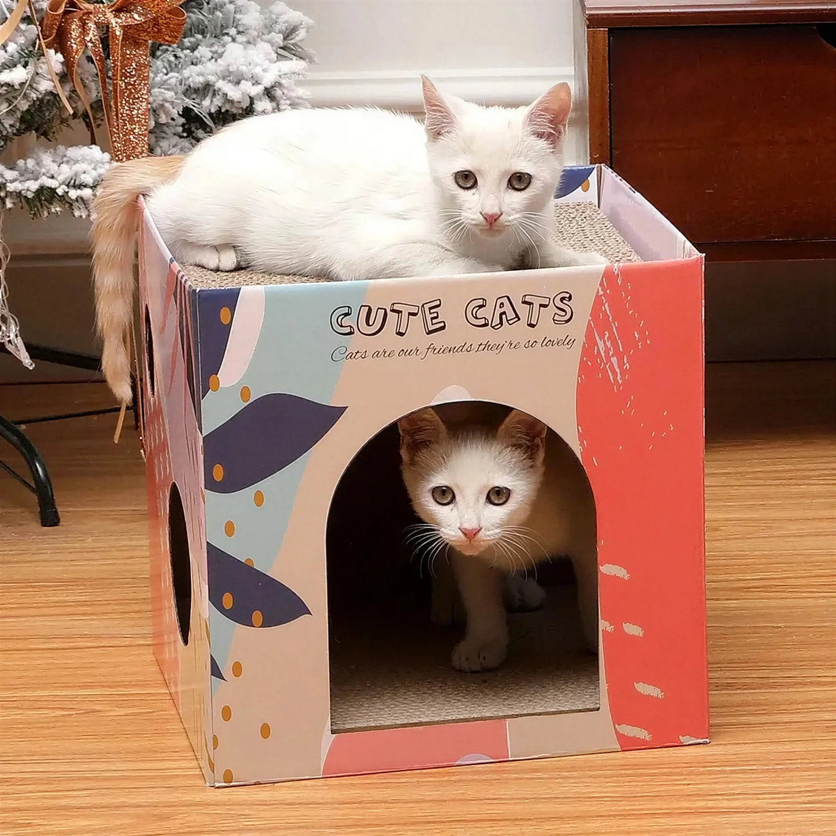 Maison en Carton à Gratter pour Chat Pour toi Mon chat