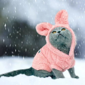 manteau pour Chat Molletonné avec des Oreilles de Lapin pour l'Hiver porté par un chat gris sous la neige