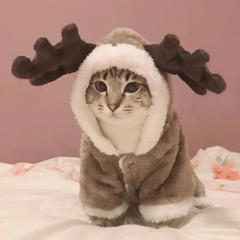 Manteau pour Chat Style Combinaison avec des Cornes de Cerf sur la Capuche porté par un chat gris assis sur un lit blanc avec un mur rose en fond
