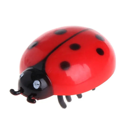 Mini jouet électrique interactif en forme de coccinelle Pour toi Mon chat