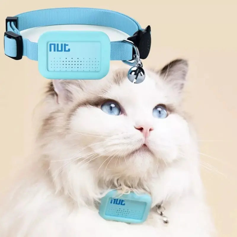 Mini traceur GPS avec collier pour chat Pour toi Mon chat