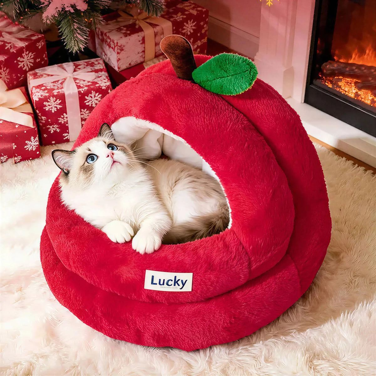 Niche Pomme Rouge pour Chat Pour toi Mon chat