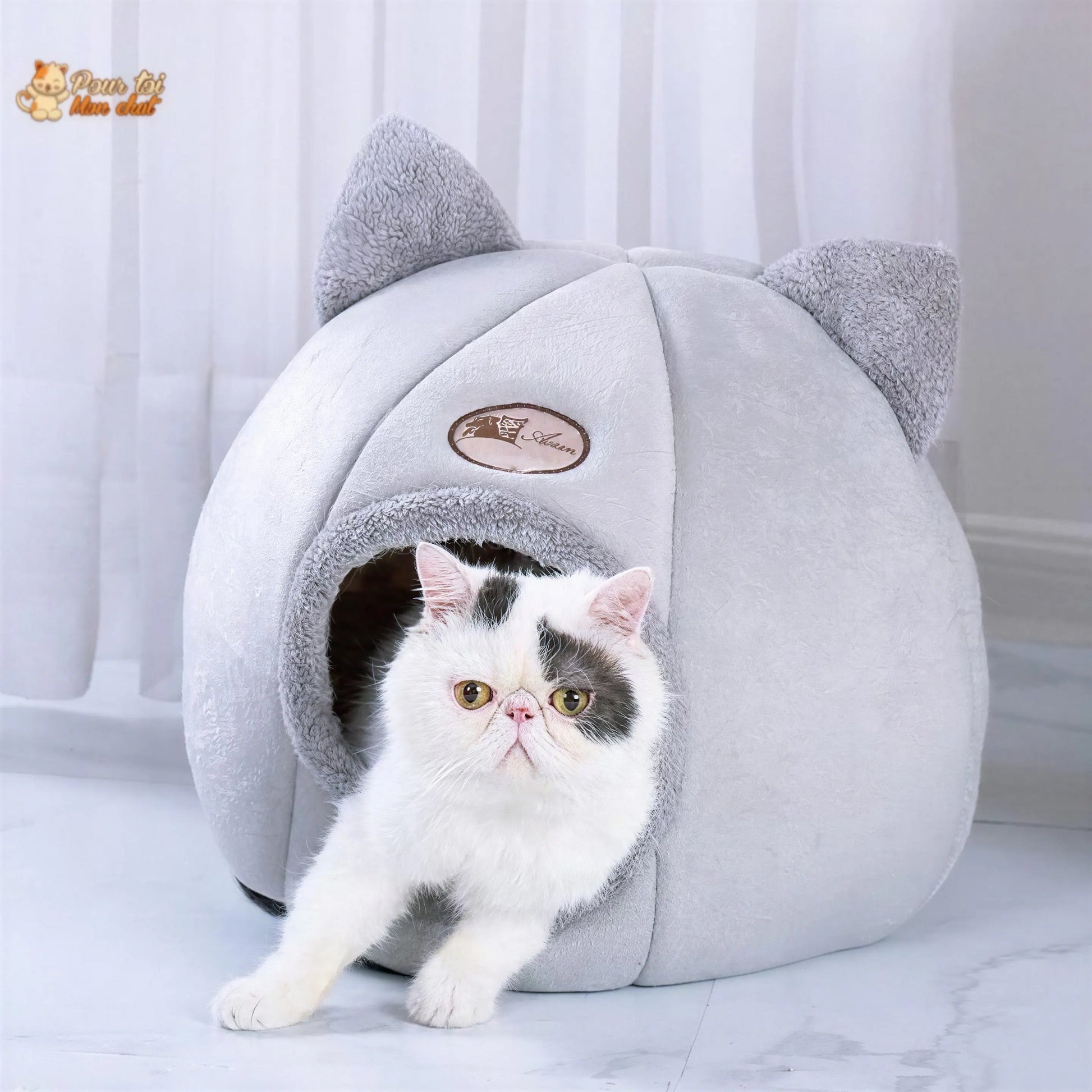 Niche pour Chat Interieur - Logis4cat™ Pour toi Mon chat