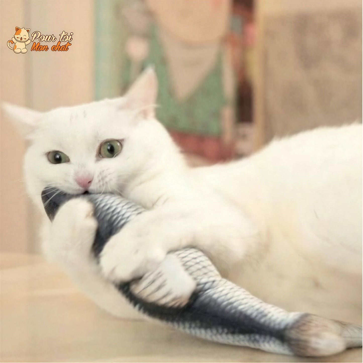 Poisson Sauteur Jouet pour Chat - Attrap'Fish™ Pour toi Mon chat