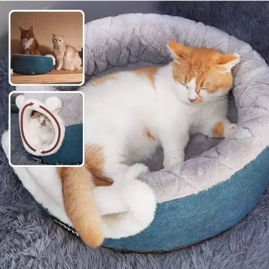 Panier Chat Coussin & Grotte – le Refuge Douillet pour Votre Félin ! Chat blanc roux dormant sur le lit, la queue sort du lit en bas. 2 fenêtres carrées pour montrer le produit