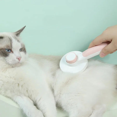 Peigne dépilatoire rond en plastique avec bouton pour chat Pour toi Mon chat