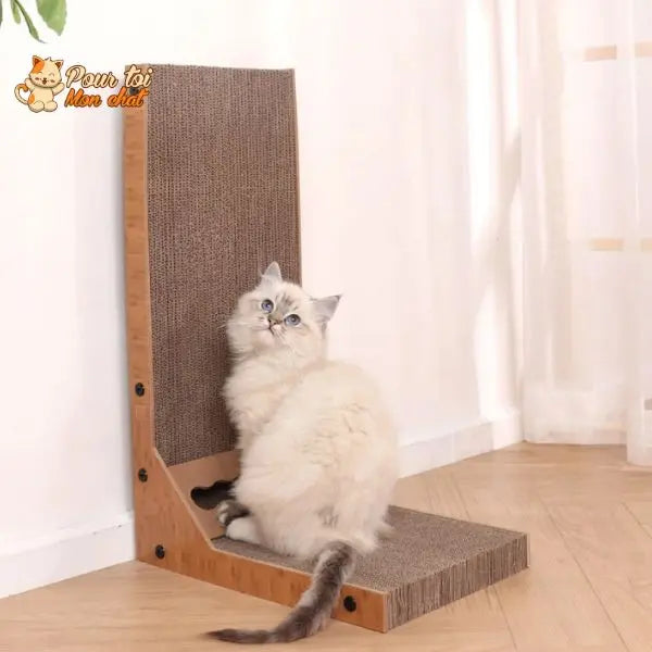 Planche à gratter détachable pour chat Pour toi Mon chat