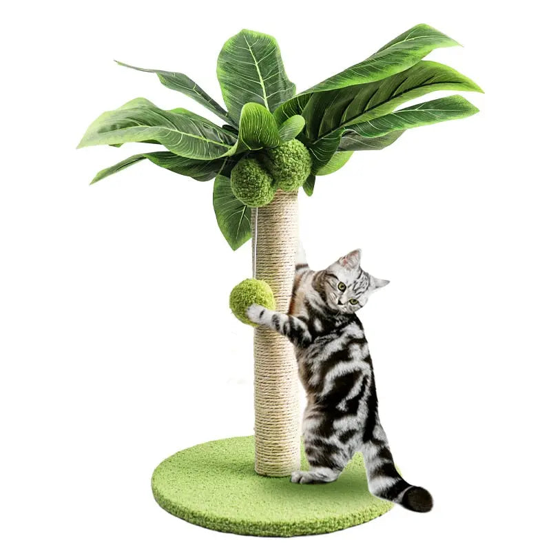 Poste à gratter palmie pour chat Pour toi Mon chat