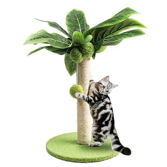 Poste à gratter palmie pour chat Pour toi Mon chat