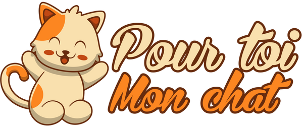 Pour toi mon chat : boutique d'accessoire pour chat en ligne