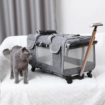 Poussette Chat Style Valise Respirante et Pliable Pour toi Mon chat