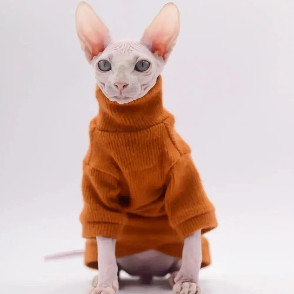 Pull Chat Élégant et Confortable Pour toi Mon chat