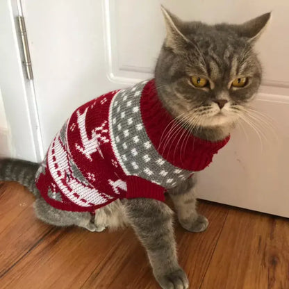 Pull pour Chat Chaud Style Noël avec des Cerfs porté par un chat gris assis devant une porte blanche