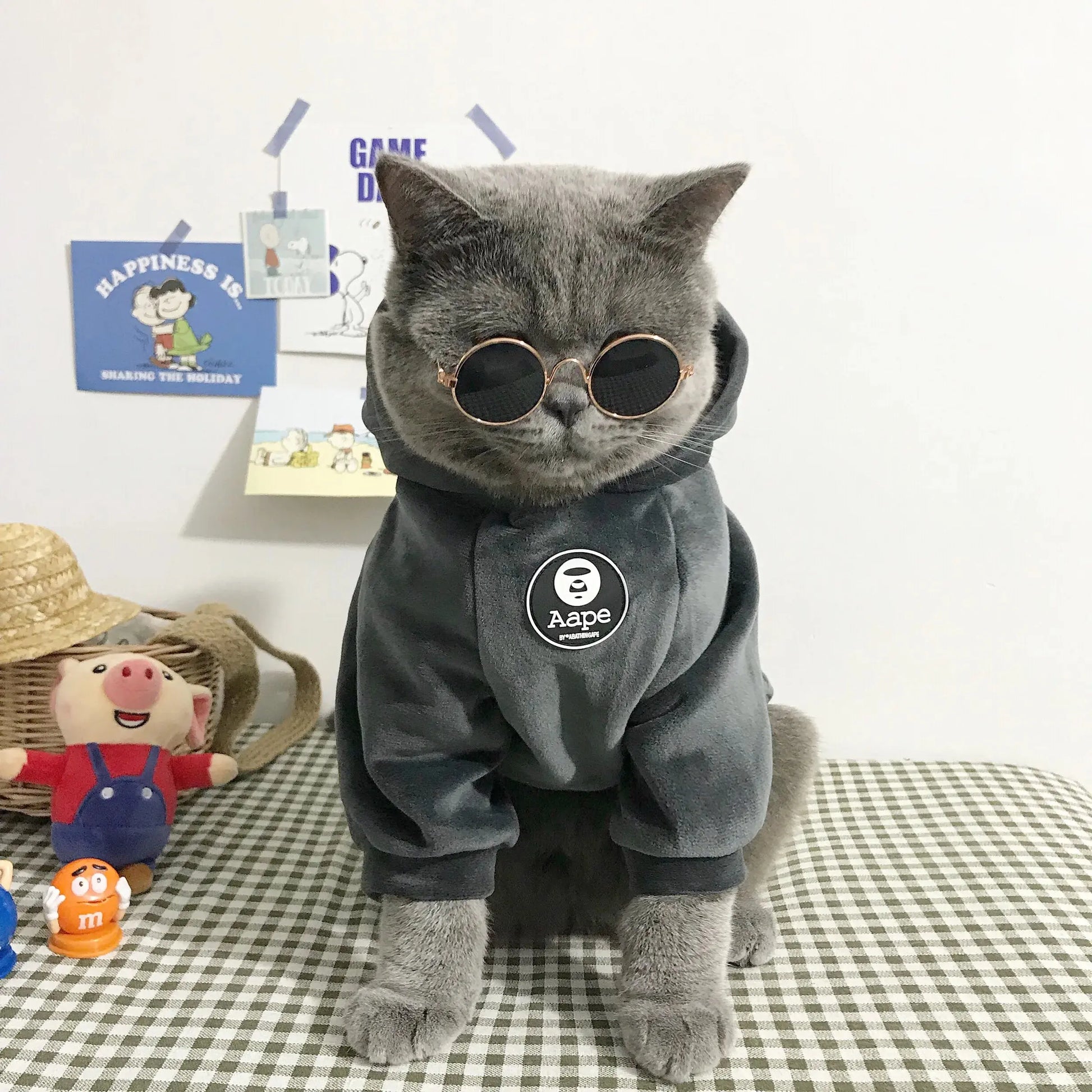 Pull pour Chat Style Pyjama avec un Pompon sur la Capuche porté par un chat gris avec des lunettes de soleil assis sur un lit avec des jouets à gauche et un mur blanc avec des posters derrière lui