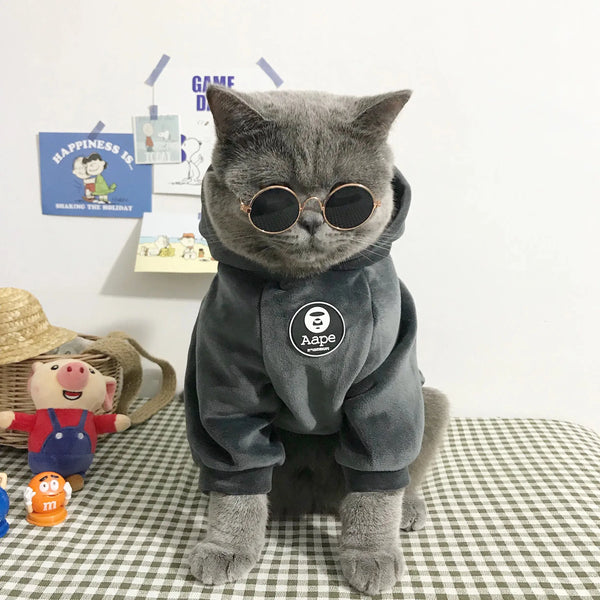 Pull pour Chat Style Pyjama avec un Pompon sur la Capuche porté par un chat gris avec des lunettes de soleil assis sur un lit avec des jouets à gauche et un mur blanc avec des posters derrière lui