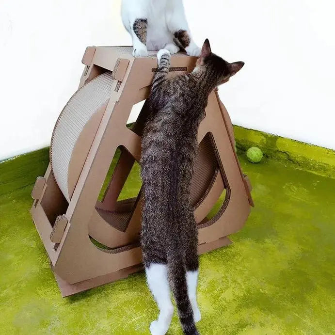 Roue pour Chat et Grattoir en Carton avec un chat blanc assis dessus et un chat noir devant installé sur un sol vert avec des murs blanc