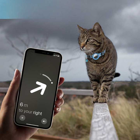 Sonnette de sécurité GPS pour chat Pour toi Mon chat