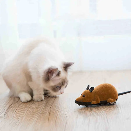 Souris électrique avec télécommande sans fil pour chat Pour toi Mon chat