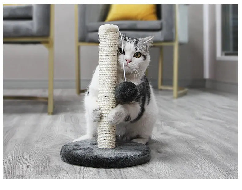 Tour de saut pour chat avec corde en sisal Pour toi Mon chat