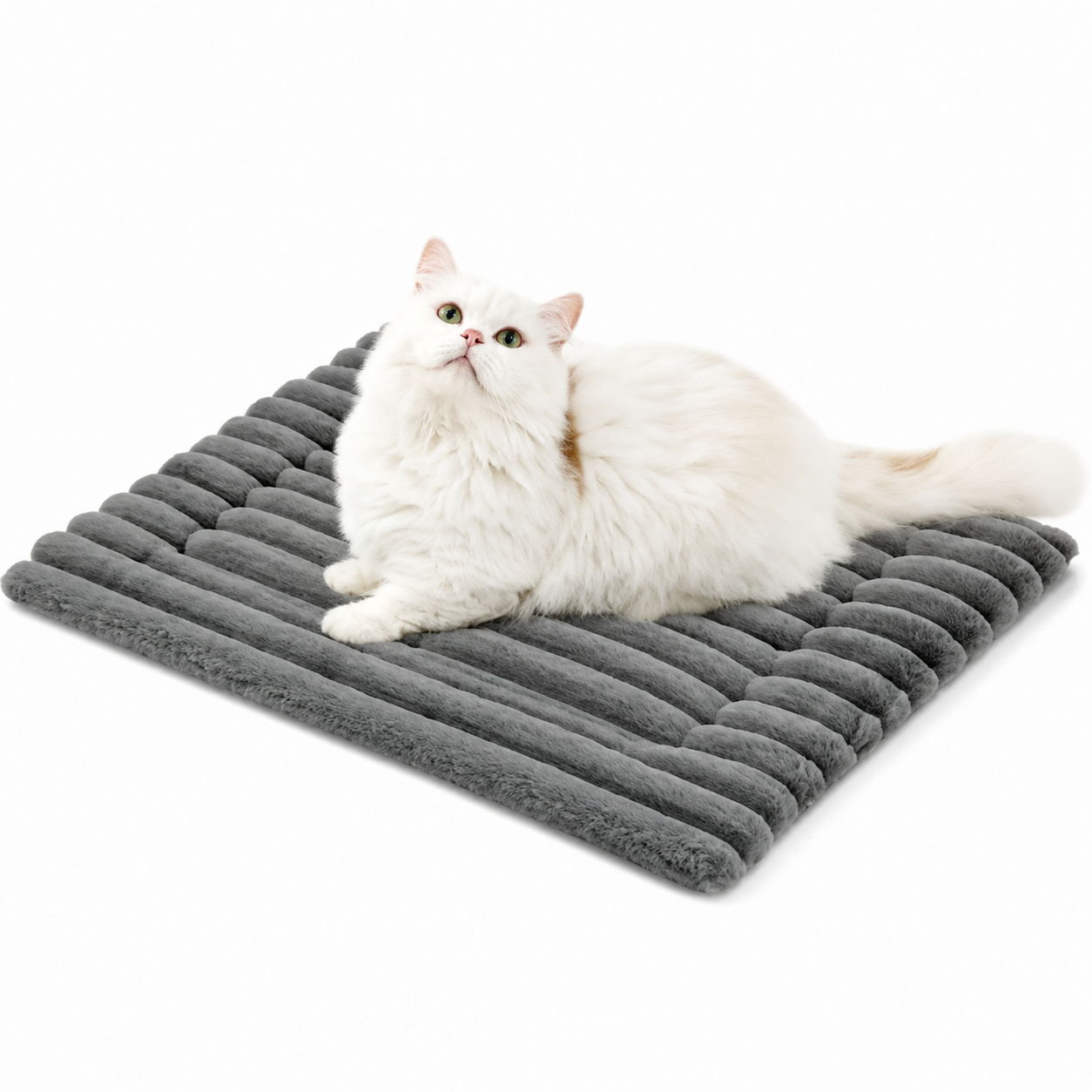 Lit auto-chauffant pour chats Pour toi Mon chat