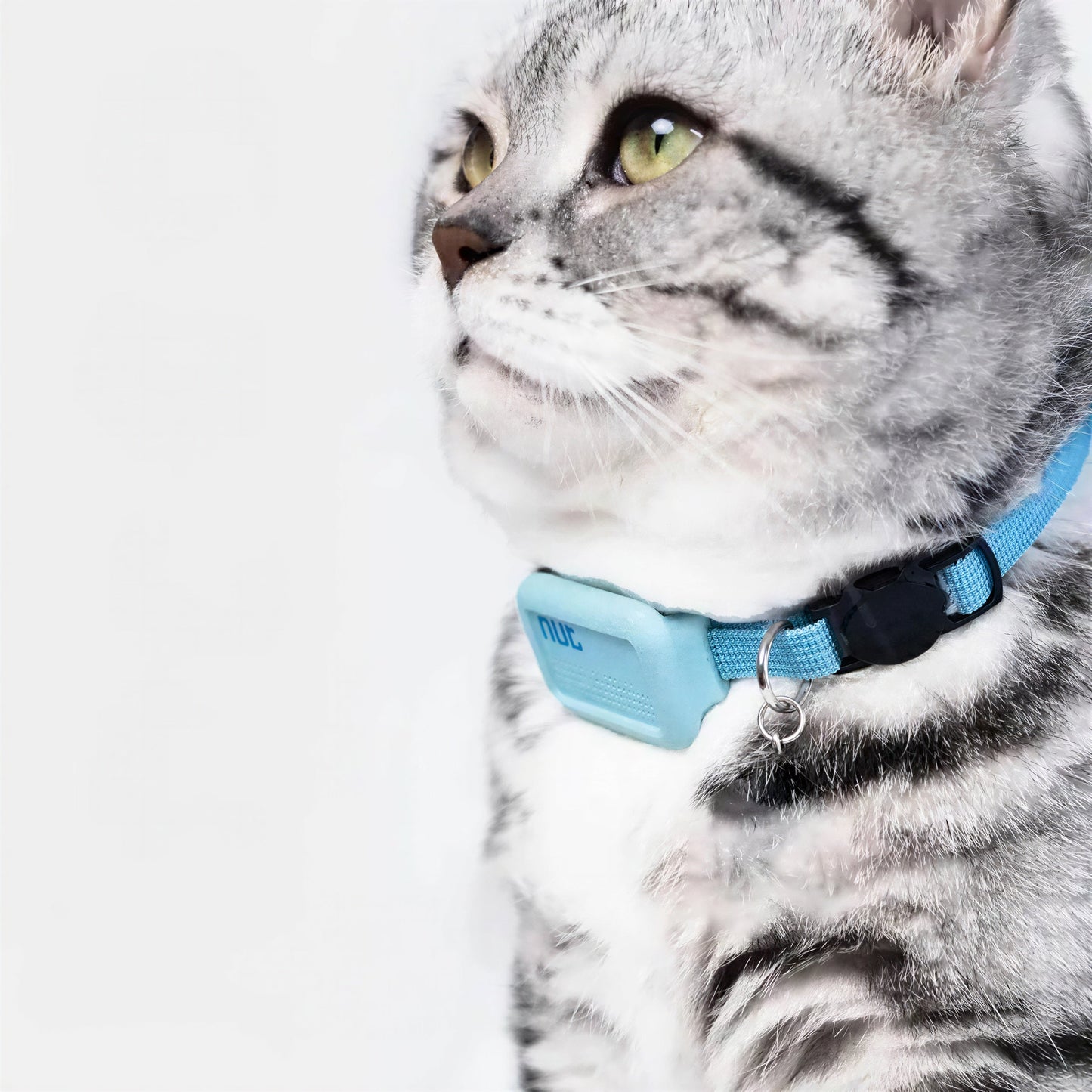 Collier GPS Chat en Nylon avec une Clochette Pour toi Mon chat
