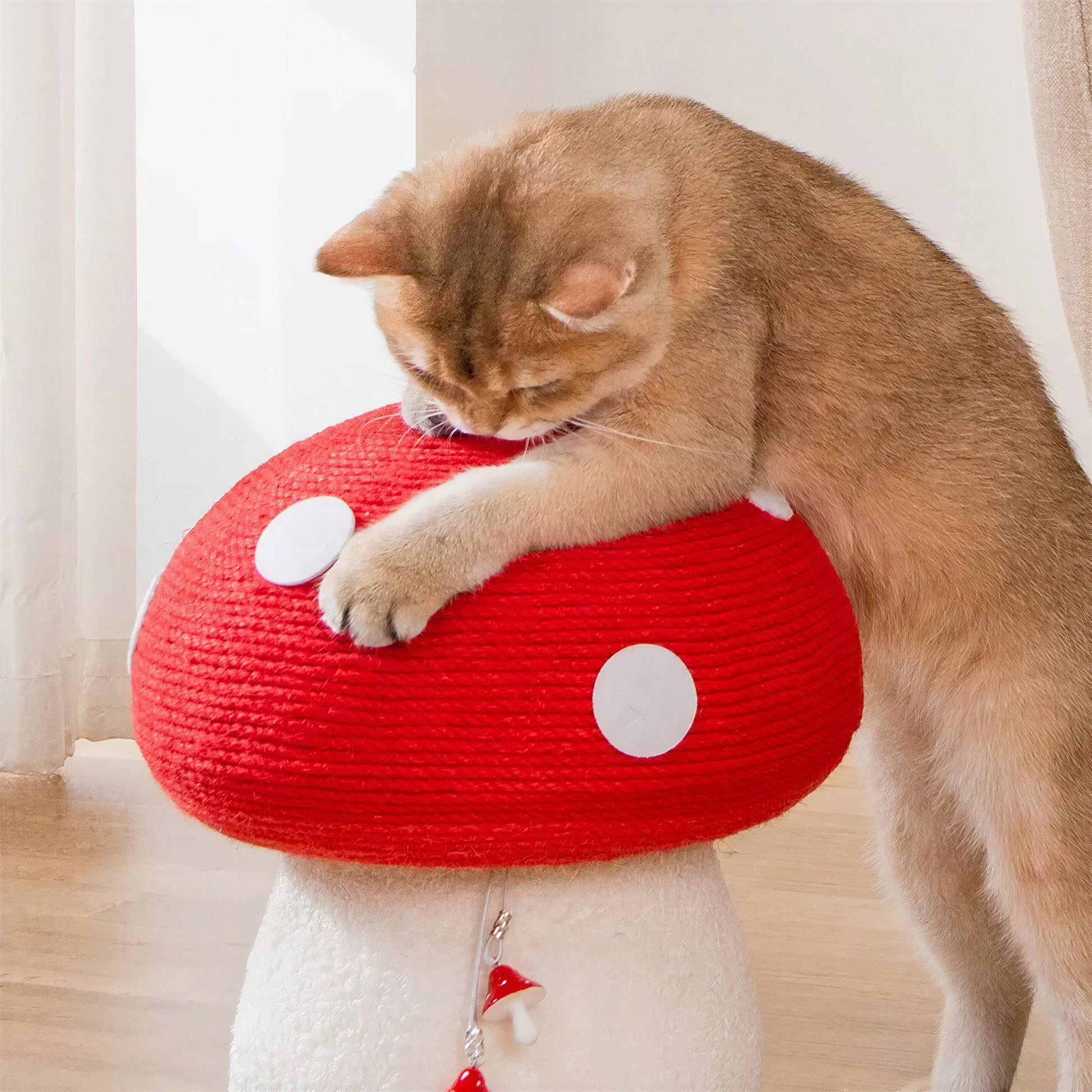Planche à gratter en sisal en forme de champignon pour chat - vue 3