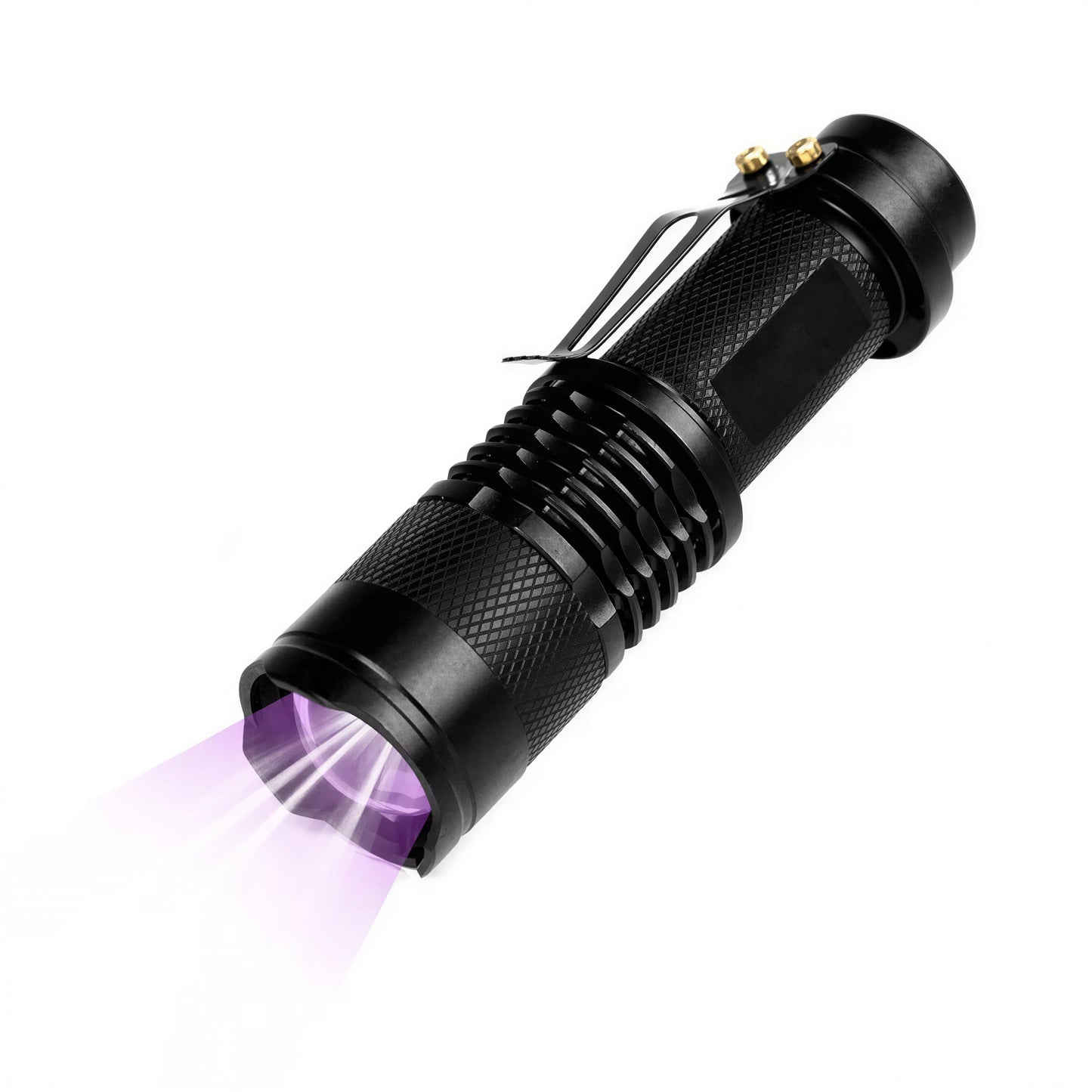 Lampe de poche LED pour inspecter les traces d'urine de chat - vue 3