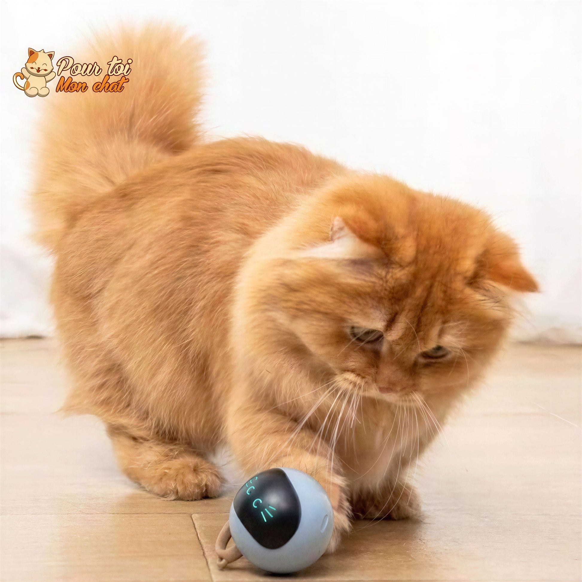 Balle Magique Lumineuse pour Chat - Catch'Cat™ - vue 2