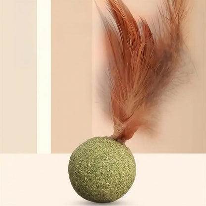 Herbe à Chat Ronde avec une Plume - vue 3