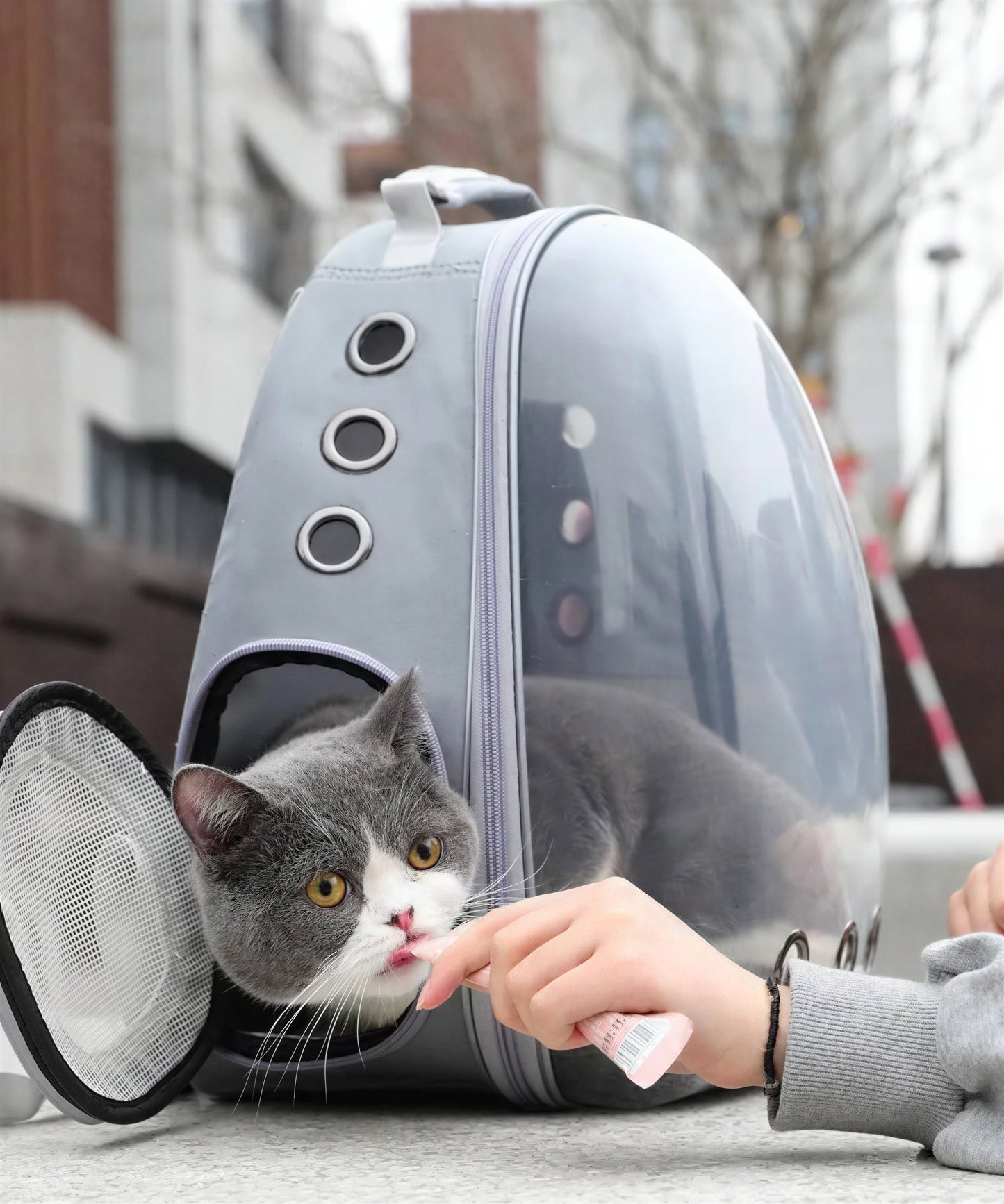 Sac à dos de transport pour chat avec hublot transparent Pour toi Mon chat