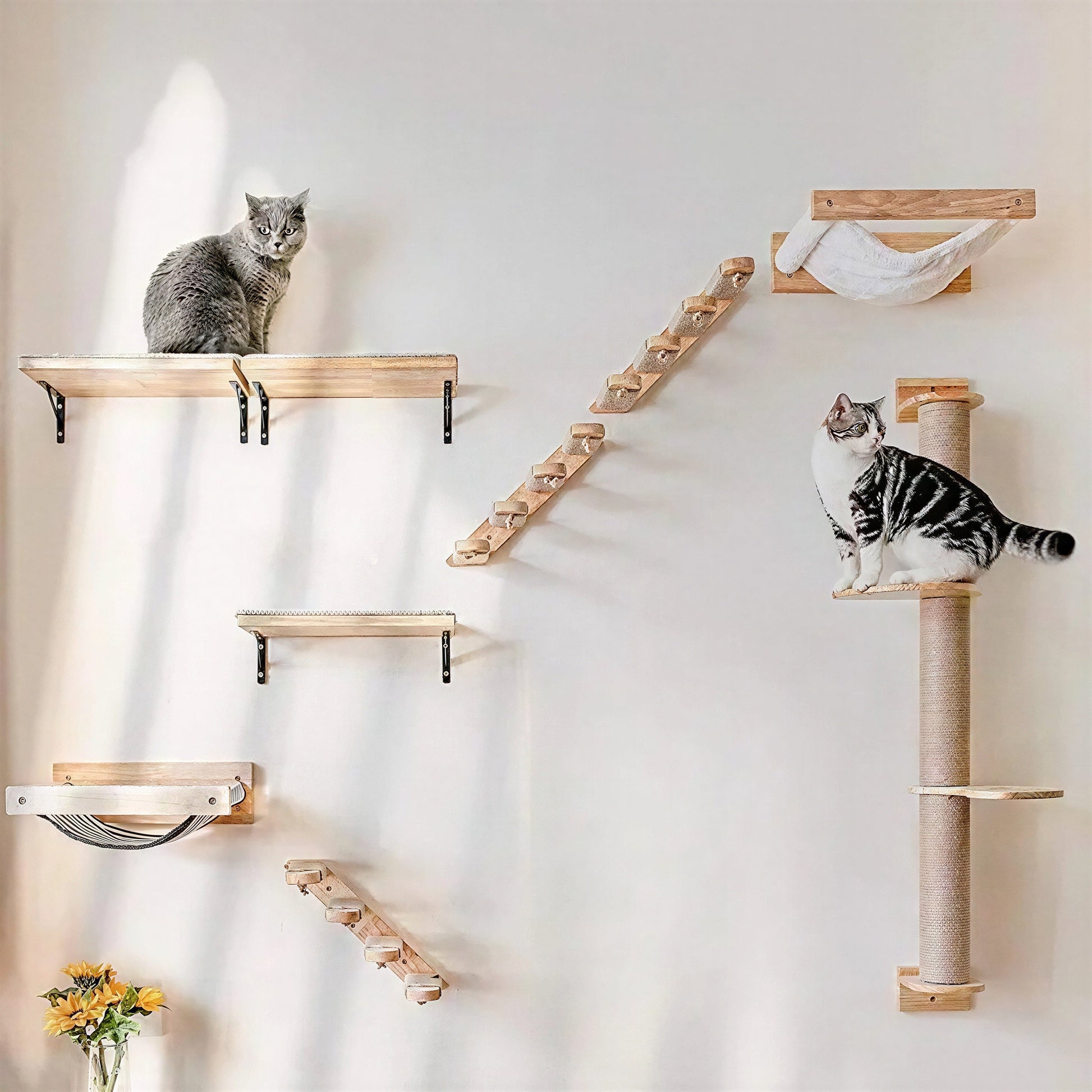 Escalier pour Chat à Fixer Contre un Mur Pour toi Mon chat